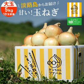 【大玉サイズ】淡路島 玉ねぎ 5kg ひょうご安心ブランド認証 | たまねぎ タマネギ 玉ネギ 玉葱 5キロ 淡路島たまねぎ 　淡路島玉ねぎ 淡路産 淡路 国産 野菜 やさい 仕送り 贈り物 贈答 淡路島玉葱 農家直送 季節