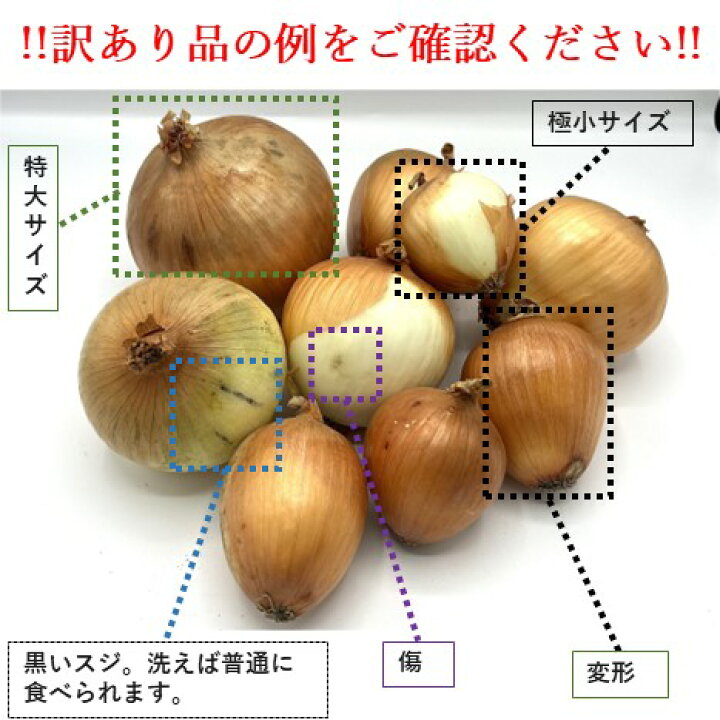 楽天市場】数量限定│訳あり価格、お試しサイズ【実はとあるサイトでNo 