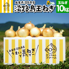 【実はとあるサイトでNo.1が楽天参入】淡路島 玉ねぎ 10kg ひょうご安心ブランド認証 | 玉ねぎ たまねぎ 玉ネギ 玉葱 10キロ 淡路島たまねぎ 淡路 国産 野菜 ギフト 贈り物 贈答 淡路島玉葱 産地直送 農家直送 季節