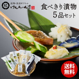 ＼初めてはまずはコレ！／ 漬物 セット ギフト お歳暮 高級 おしゃれ 詰め合わせ 浅漬 【 食べきり漬物5品セット 】 白菜 きゅうり ゆず大根 なす 青しま瓜 粕漬 お取り寄せ 小分け パック 漬け物 つけもの 国産 野菜漬物 出雲の手づくり漬物けんちゃん漬