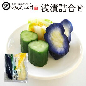 漬物 高級 おしゃれ 浅漬 【浅漬詰合せ】 白菜 なす きゅうり お取り寄せ 小分け ご飯のお供 パック 漬け物 つけもの 国産 手作り 野菜漬物 出雲の手づくり漬物けんちゃん漬