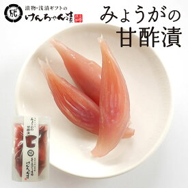 漬物 高級 おしゃれ 【みょうがの甘酢漬】 みょうが お取り寄せ 小分け ご飯のお供 パック 漬け物 つけもの 国産 手作り 野菜漬物 出雲の手づくり漬物けんちゃん漬