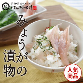 漬物 高級 おしゃれ 【みょうがの漬物】 みょうが お取り寄せ 小分け ご飯のお供 パック 漬け物 つけもの 国産 手作り 野菜漬物 出雲の手づくり漬物けんちゃん漬