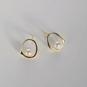 E007 sAX CO p[@JWA O silver925 Vo[ zCgS[h AM[Ή A luxedolce