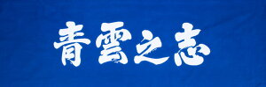 剣道 面手拭 手ぬぐい 青雲之志 青色