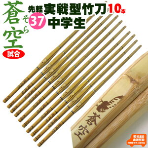 y10{Zbgz^|uvij|̂37  | Ȃ  ^ w 37 jq q  SSP