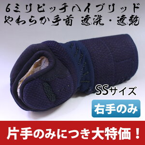 ЎyÊ݂̔̔ƂȂ܂z6~nCubhb聜SSTCY