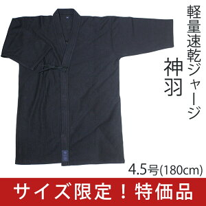   TCY u_H SHINWAvėpW[W 4.5