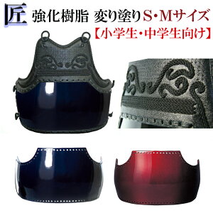 剣道 胴 単品 強化樹脂胴 変わり塗り 小学生 中学生「匠(たくみ)」 オールラウンド実戦型 剣道 防具 胴 変り塗り