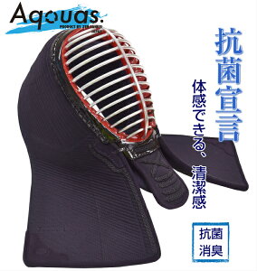  ʁuAquas-ANAX-S01v[ہEL] ( ߂ hw Z  w)