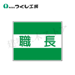 H[@TY-31A@TY|31pmEn@2g@Px˃V[g@170×250