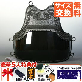[剣道屋] 中高～一般向 胴単品 本雲S字 胴裏50本朱塗 濃紺ライン入 脇3本足 [ネーム付][胴紐付] 剣道 防具 胴 黒色 中学生 高校生 ★面手拭プレゼント　★小手補修キット付　★竹刀ワックス付　黒胴 ●本雲S字三本足 50本型 [Dc] ●説明書