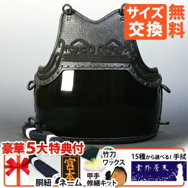 [剣道屋] 中高生向 胴単品 鬼雲飾り[ネーム付き][胴紐付き] 剣道 防具 胴 黒色 (子供～大人サイズ) 小学生 中学生 高校生 一般 　★面手拭プレゼント　　★小手補修キット付　　★竹刀ワックス付　　黒胴 ●鬼雲濃紺二本足 平型 [Dk] ●説明書