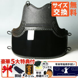 [剣道屋] 中高～一般向 胴単品 総刺し 胴裏50本朱塗 濃紺ライン入 脇3本足 [胴紐・ネーム付] 剣道 防具 胴 黒色 中学生 高校生 ★面手拭プレゼント　★小手補修キット付　★竹刀ワックス付　黒胴 ●総刺(オールベタ)三本足 50本型 [Dd] ●説明書