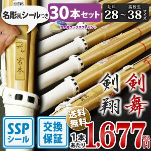 ySSPV[tESۏؕtz 30{Zbg  | ʌ^ ᕗdgi āE 28`38TCY  ܂Ƃߔ ( w 28 30 32 34 35 36 w 37jq 37q Z 38jq 38q )