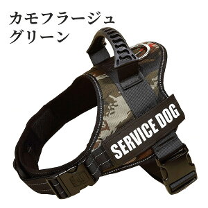  n[lXA^ n[lXAID^OJX^Ah~ ߖh~ʂAybgpցA TCY\ P nhtAȂ o ԔˁA_炩f 