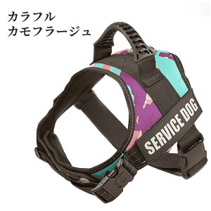  n[lXA^ n[lXAID^OJX^Ah~ ߖh~ʂAybgpցA TCY\ P nhtAȂ o ԔˁA_炩f 