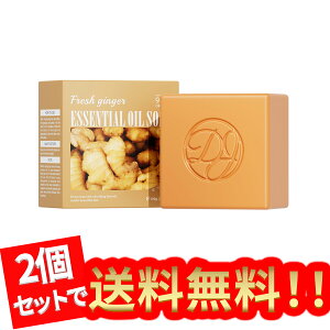 y2ZbgzfP[g \[v ߁AWW[GbZVIC\[vo[AOZz - ێẢh{AR vio  AtFPA \[vAfP[g ][ F