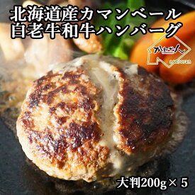 白老牛 カマンベールチーズ ハンバーグ 送料無料 200g 5個 北海道チーズ バーグ ふるさと納税 でも大好評 北海道産 カマンベールチーズ ボリューム ハンバーグ 自家製 デミグラスソース 付き 白老和牛