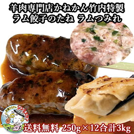 ラム餃子 のタネだけの商品 餃子にしても焼き鳥 つくねにしても良し 室蘭やきとり の たれ付き 大容量250g×12合計3kg シシカバブ とも違う ラム肉 の 美味しいつくね串 大人気 ラム餃子