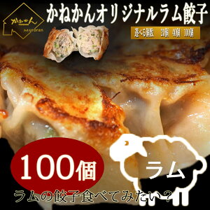 �k�C�����y���˂���|���I���W�i�������L�q�z���X�������� �k�C�� ���� 100���g�p�� ����������� �W���[�V�[�ȗr���L�q�I�|�ݔZ���ŏL�݂Ȃ��E���`���ӂ���i������ �k�C���O