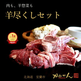 ジンギスカン ラム肉 福袋 羊尽くしセット / 羊1頭分セット / 豚尽くしセット 1kg以上 送料無料 羊肉 詰合せ 北海道 肩ロース ラムカルビ BBQ ソロキャンプ グランピング ギフト 内祝い お中元 【かねかん竹内】