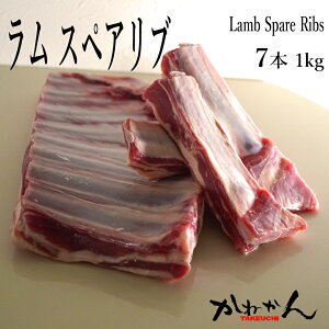 XyAu  WMXJ  Mtg [XgpXyAu t/XyA H׈Ղ1{1{؂藣 ē/BBQ p tWMXJ 1kg ȏ Ε Ε j