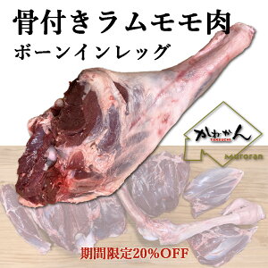  er/r  ړ Lv ۏĂ ΏĂ ē BBQ [Xg  /bO t WMXJ  Xe[LAvXe[LAVVA