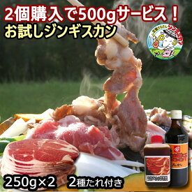 ジンギスカン ラム肉 生 ラム ラムロール/ロールラム 丸い 羊肉 500g に ベル成吉思汗たれ とオリジナルたれ付き2個買うと500gサービスお得なお試し商品 送料無料 羊肉 北海道 ジンギスカン 焼肉