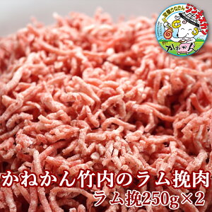 wV[ȃ̐Ԑgғ500g  Ԑg ~` er ғ ~[g{[ Pou J[yⓀzwV[ȃԐgғł ғ̃L[}J[EˁEno[OEPou