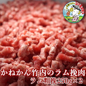 wV[ȃ̐Ԑgeғ500g  Ԑg ~` er ғ ~[g{[ Pou J[yⓀzwV[ȃԐgғł ғ̃L[}J[EˁEno[OEPou