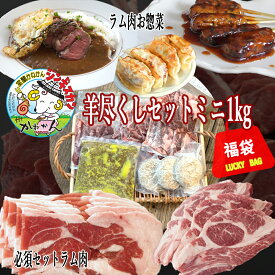 ジンギスカン ラム肉 福袋 羊尽くしセット 1kg以上 / 送料無料 羊肉 詰合せ 北海道 肩ロース ラムカルビ BBQ ソロキャンプ グランピング ギフト 内祝い お中元 【かねかん竹内】