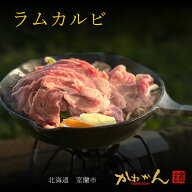 ジンギスカン ラム肉 ラム カルビ スライス 500g×2 オリジナル ラムカルビ 送料無料 たれ付 BBQ セット …