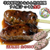 ラム餃子 のタネが 焼き鳥 つくね串 生串 に 室蘭やきとり の たれ が良く合う ラムつくね シシカバブ と…