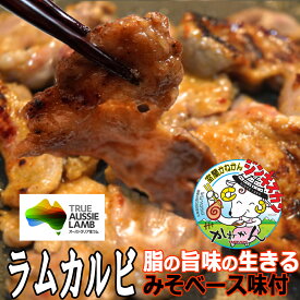ジンギスカン ラム肉カルビ 味付きジンギスカン ラム肉 内祝い ギフト脂の旨味の生きる味噌味 250g×4 たれ 付 ホットプレート フライパン 焼肉 独自に作った 自慢の 北海道 味噌ラーメン 風 味噌たれ