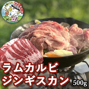 WMXJ  ؂ȂJr  500g WMXJ Zbg BBQ Zbg kC Mtg V X^_[h WMXJ Jr XCX ēEBBQ Dy ̕tȂW