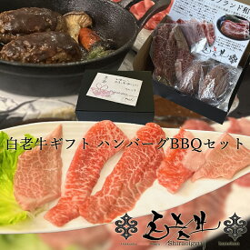 ハンバーグBBQ　お試しセット