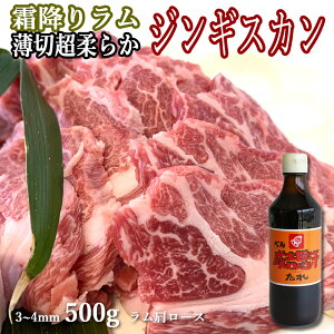  WMXJ  [X3`4mm 500g ŝt Zbg  kC O Mtg ēEBBQ o[xL[ Dy ̕tȂ() [X EE1pbN