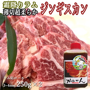  WMXJ 3`4mm 250g×2 [X lC IWit  i j Mtg [X r kC ēEBBQ Dy ̕tȂ WMXJ lC L