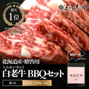 E||C V Va kC uh a [X 1kg  BBQ Ă p V a [X(kC)Ƃ낯郍[X ]ȋ؎菜 ēp Jbg  T~bg ł