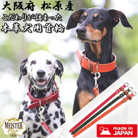 【散歩が楽しい季節になりました】首輪【日本製 本革犬具】マイスタープラス レザーカラー ピンカラー 日本製 カワノ産業 本革 牛革 犬首輪 本革首輪 引っ張り対策 肌荒れ対策 静電気対策 おしゃれ 優しい 犬の体温や湿気になじみやすい 丈夫で長持ち 散歩 プレゼント 係留