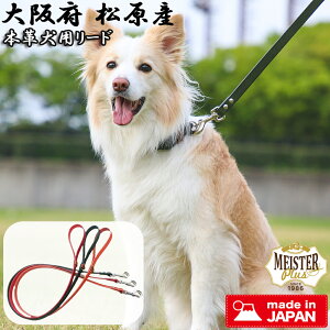 [hy{ {vz}CX^[vX U[[h 120cm ^ ^ { {v [h [h {v[h vi ÓdC΍ ɓ݂₷  Vv D