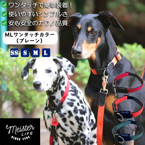 ցyɍ킹₷VvV[Yz}CX^[Ct ^b`J[ v[ ^ ^ ^ ^ SȂ ɍ킹₷ L ^b` ȒP D 