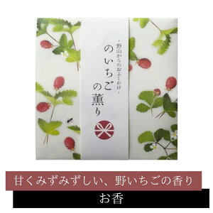 R̂ӂ킯 ̂̌O XeBbN12{ y  z{ 삢  Î_ς u ÂȂ  A} bNX