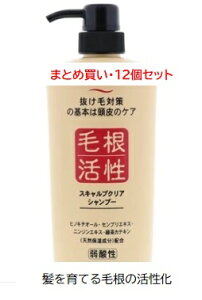 y11/1!P11{ivGg[jő1000~OFFzy܂Ƃߔ×12ZbgzWERXeBbN@XLvNAVv[ y Vv[ z  э J~c AG