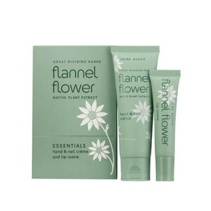 VfIpbNFlower GbZV tl MAINE BEACH }Cr[`br>