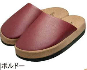 Sliet XGbg O-TYPE _CGbgXbp ry2020VzCeAG݁@Xbp@[V[Y e _CGbgXbp fB[X  NT_ Or ̓