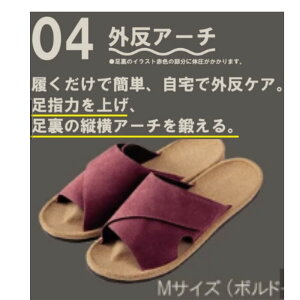 wV[[T_ fumippa ӂ݂ NT_ Xbp c{/MTCY/{h[CeAG݁@XbpE[V[Y@c{@V[Y@[T_