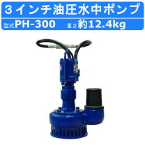 楽天市場】水中ポンプ 3インチの通販