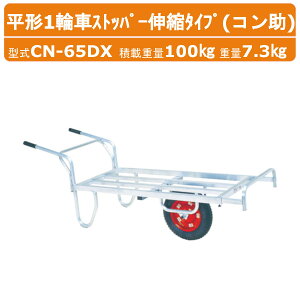 nbNX n  A~ `1֎ CN-65DX CN65DX R Xgbp[Lk^Cv GA[^C fbNX ύڏd100kg d7.3kg ֎ Reip Rei _Ɨp n 
